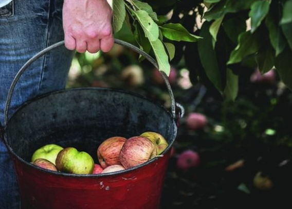 Ideas for October 2020 Content Calendars | Issuu