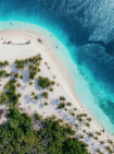 a beach with trees and boats