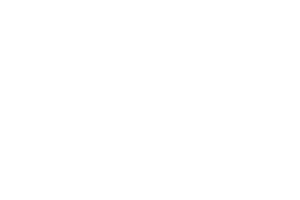 University of Maryland Medical Center Logo