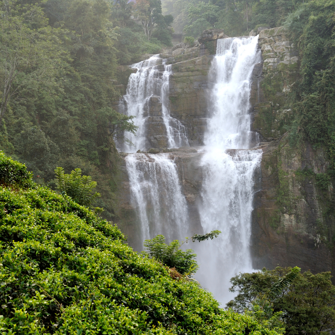 Sri Lanka Environment