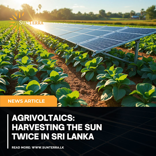 Agrivoltaics: Harvesting the Sun Twice