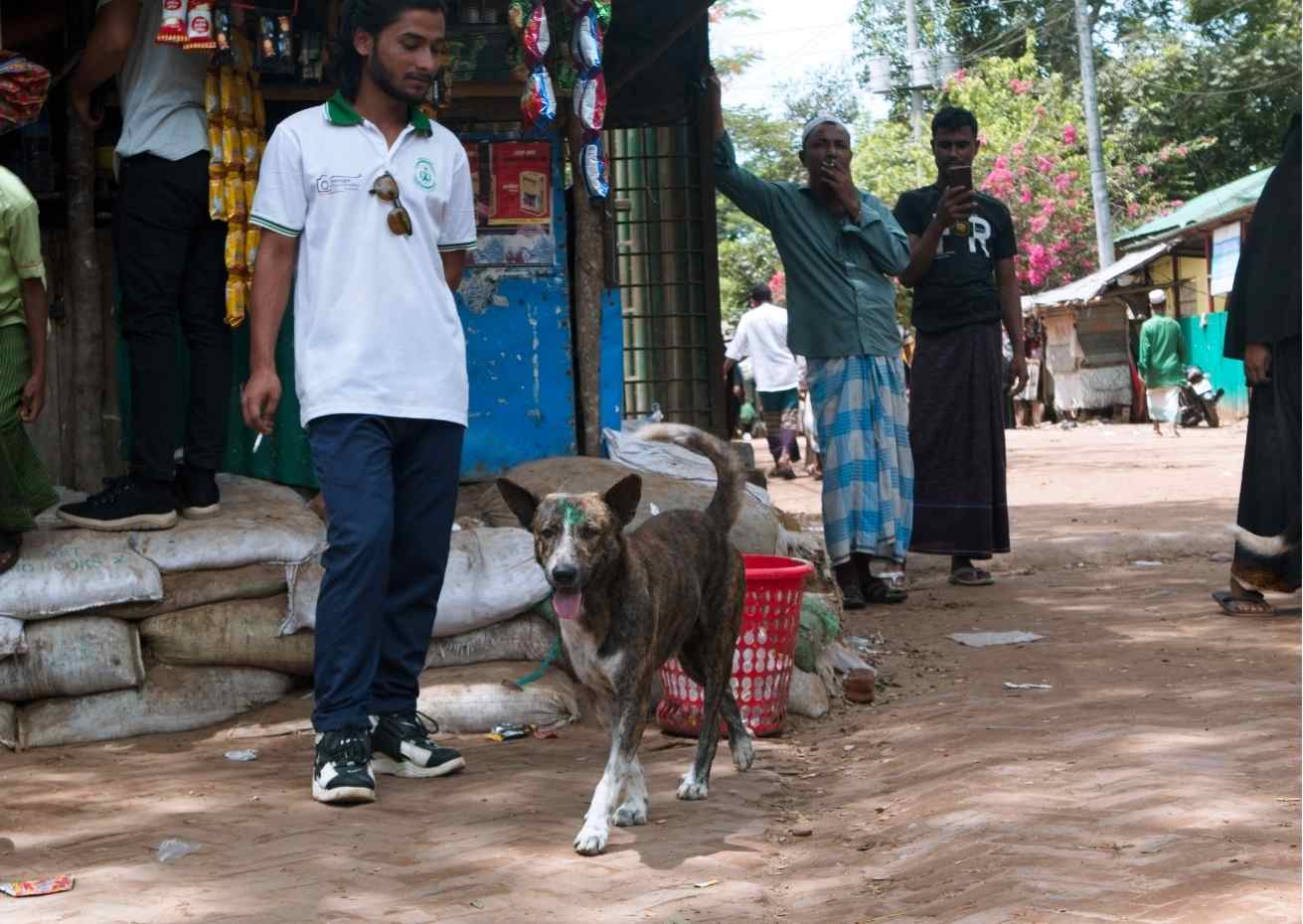 Life-Saving Rabies Response in World’s Largest Refugee Camp