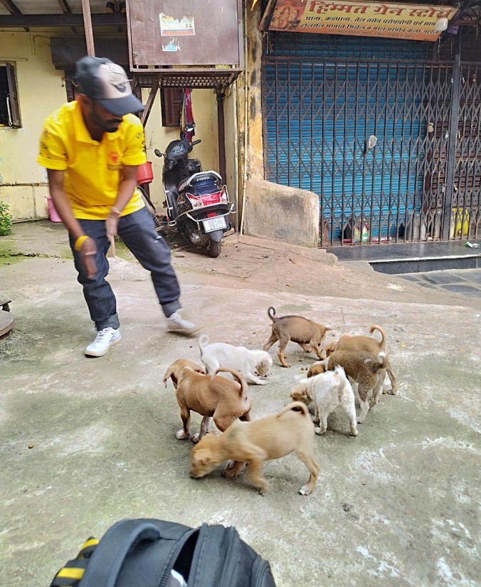 Vet nurse Liz volunteers in Mumbai