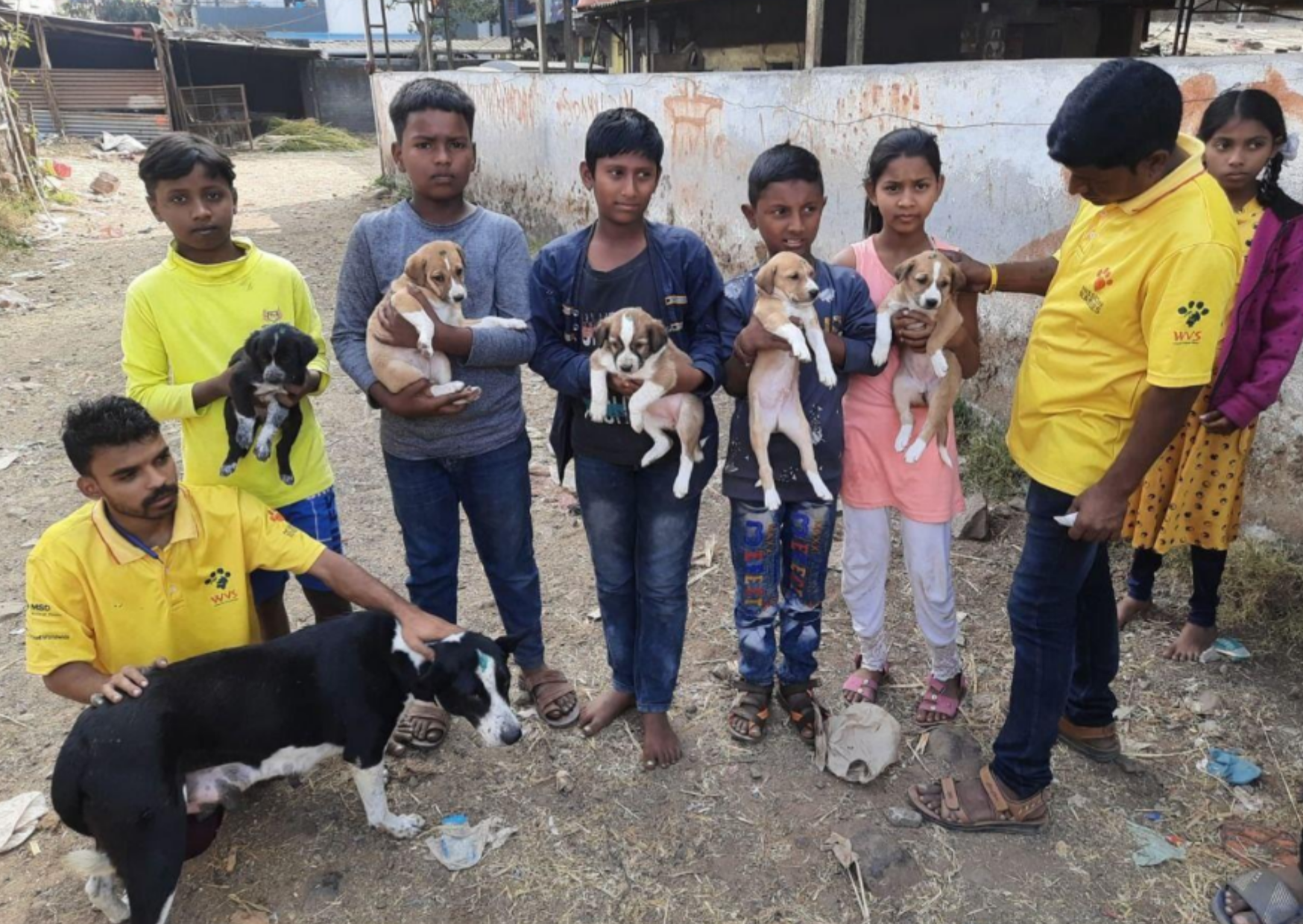 The All-Terrain Clinic: Ending rabies through mass vaccination and sterilisation