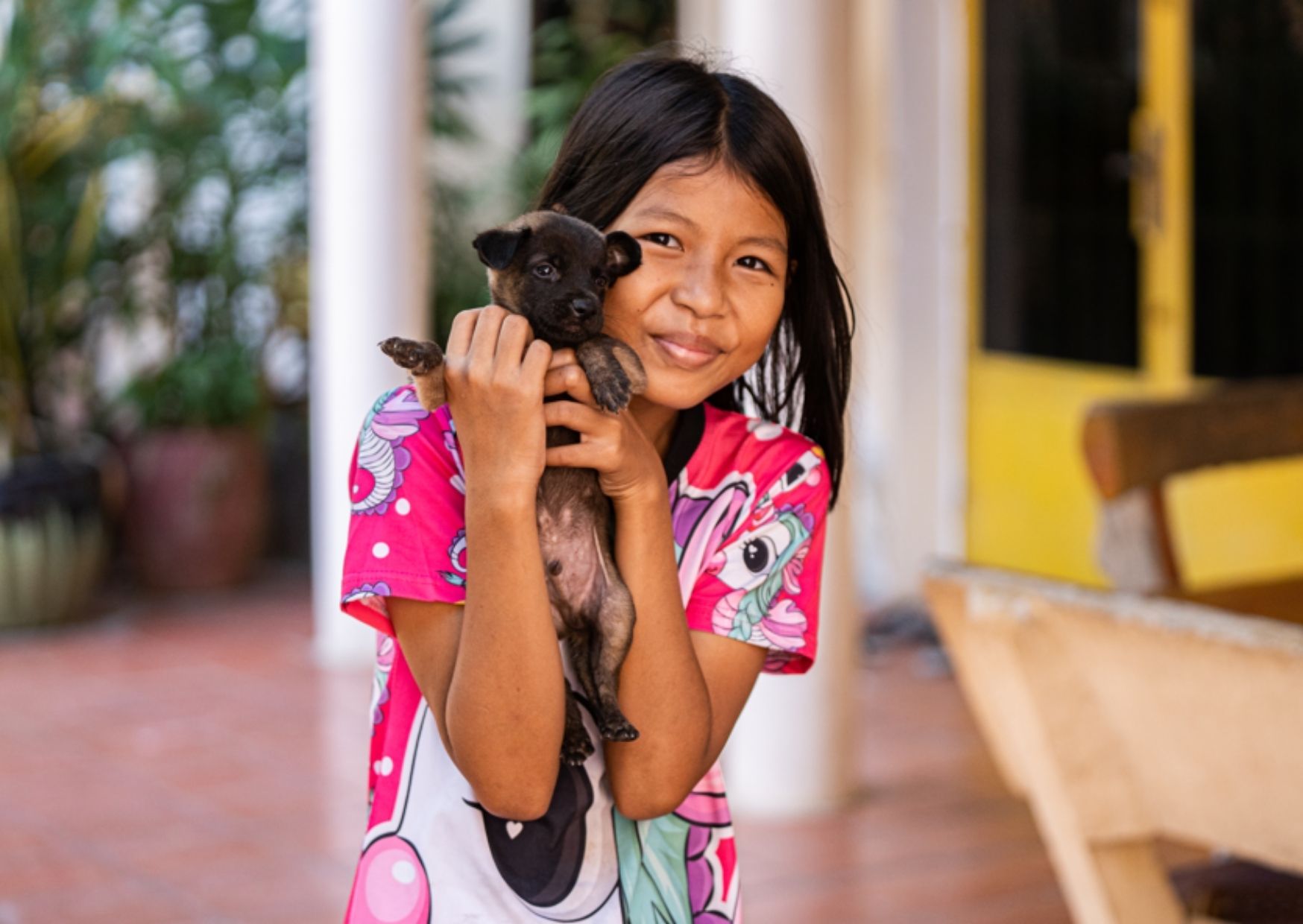 Delivering Asia’s largest rabies drive: 229,488 dogs vaccinated in Cambodia