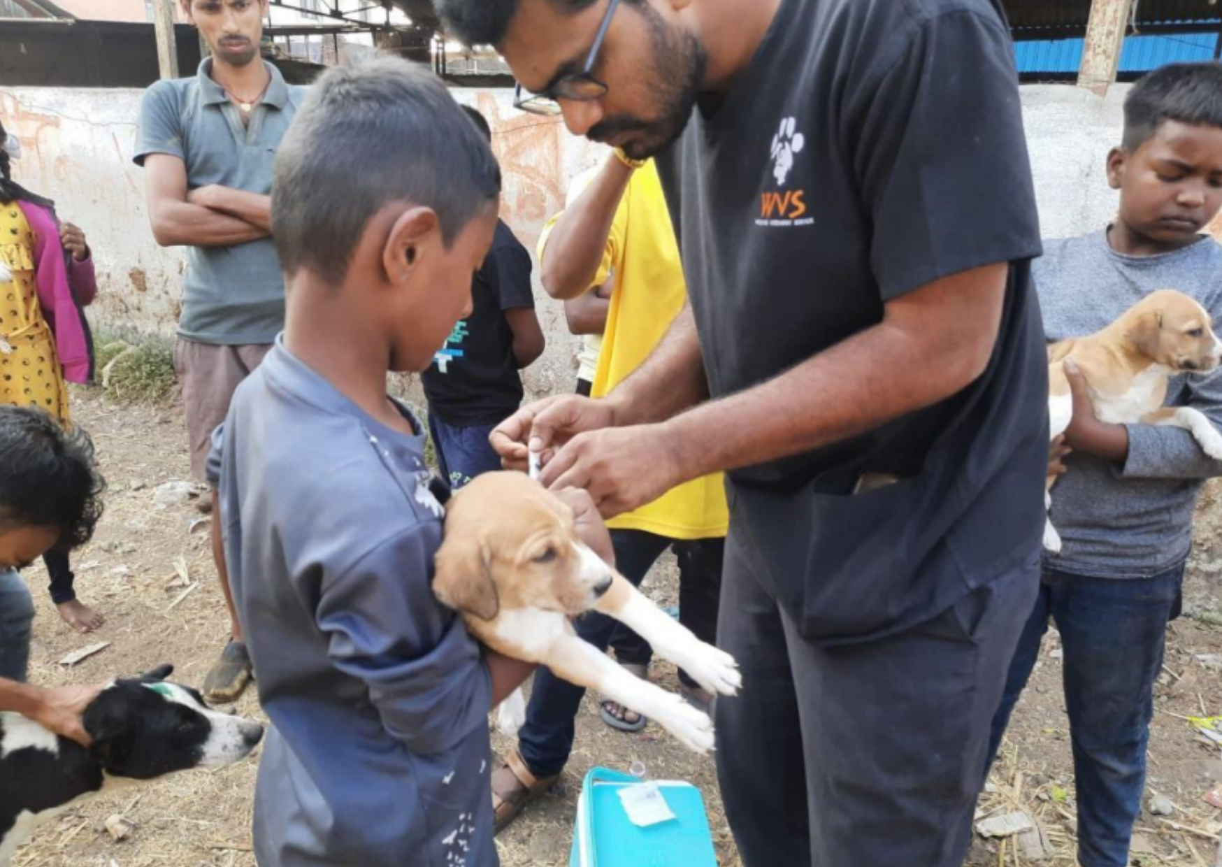 The All-Terrain Clinic: Ending rabies through mass vaccination and sterilisation