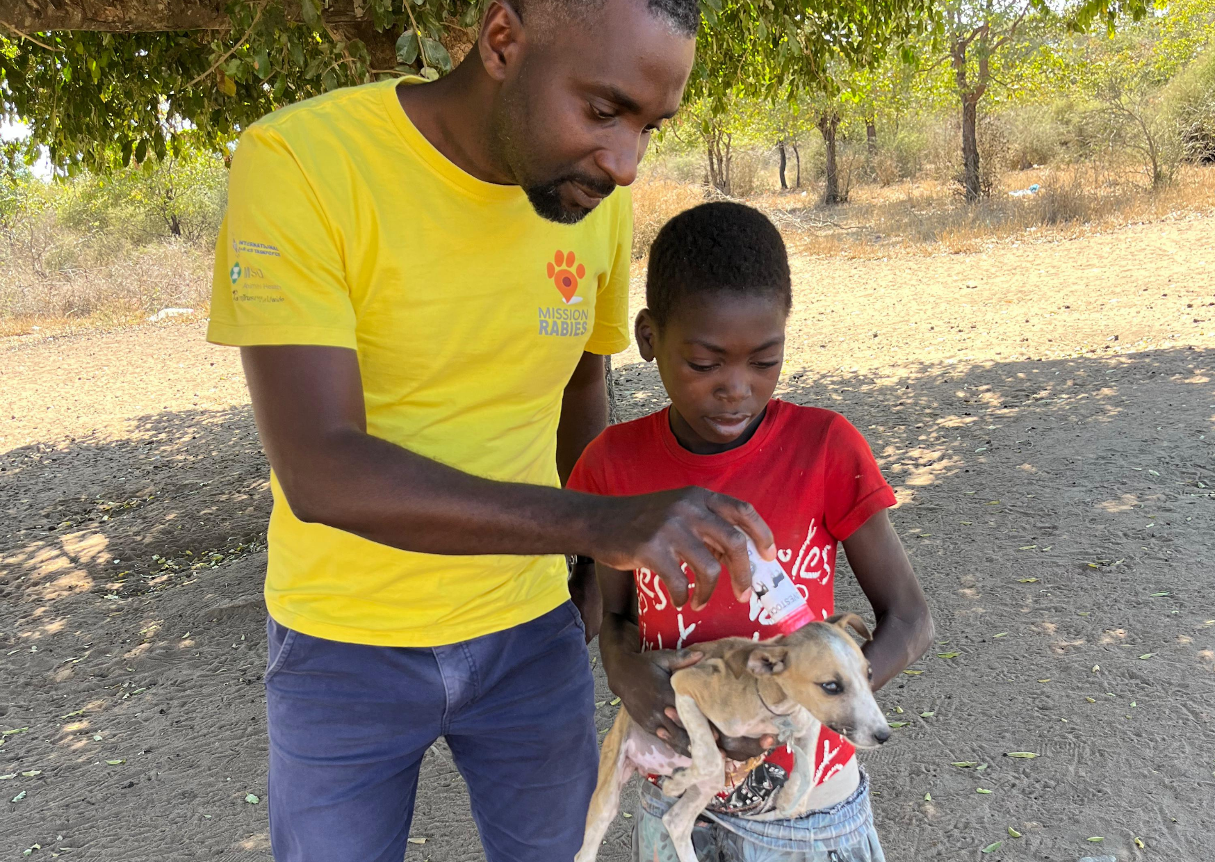 Stopping rabies at the source