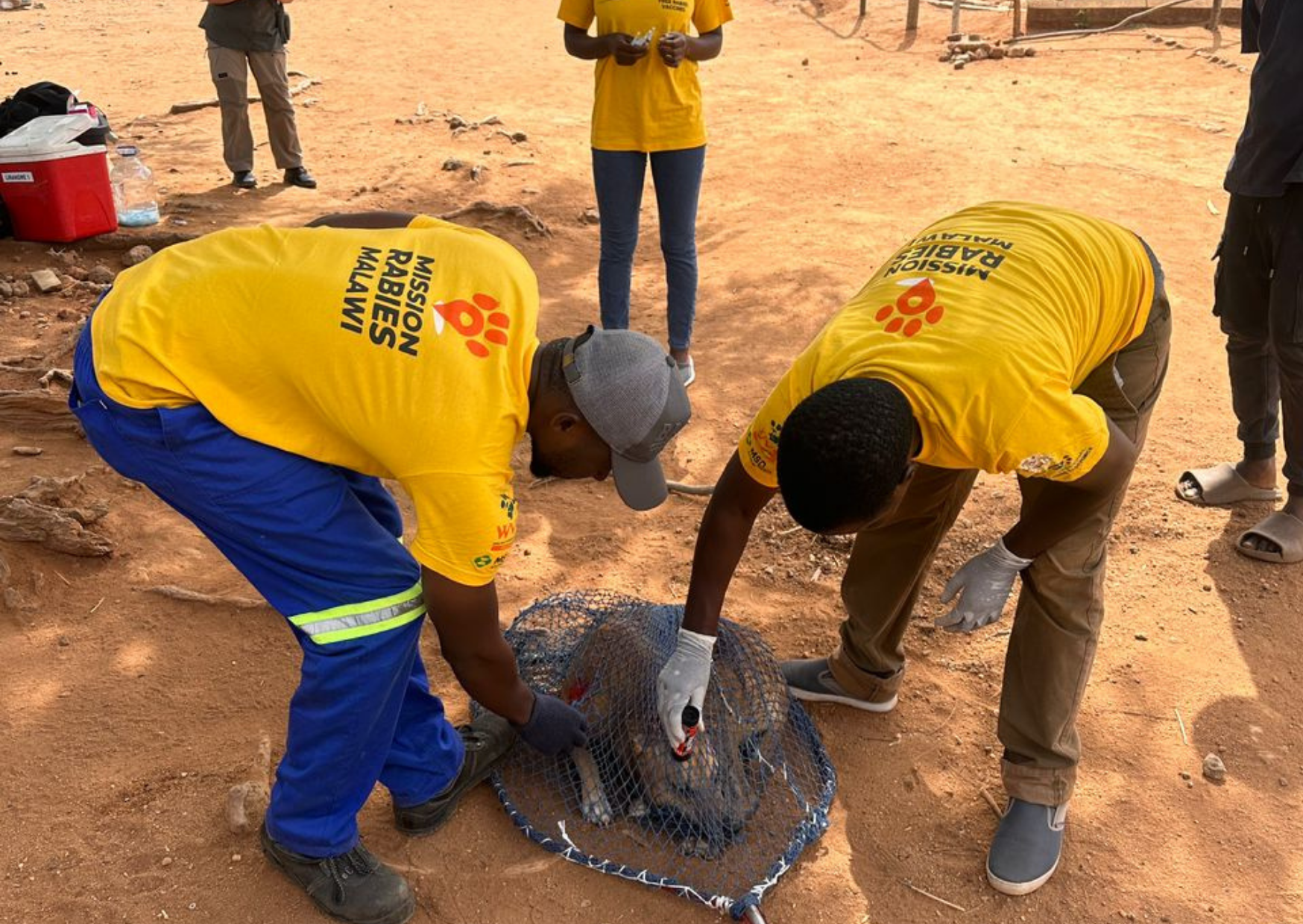 World Neglected Tropical Disease Day: Giving hope to communities living with rabies