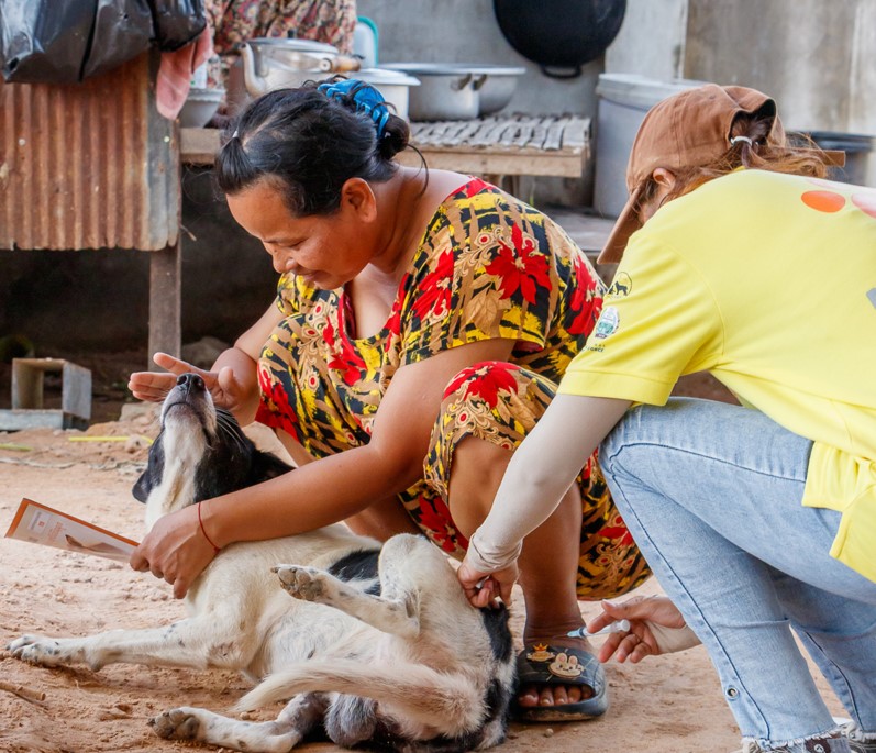 Stopping rabies at the source: The mass vaccination of dogs in rabies affected areas