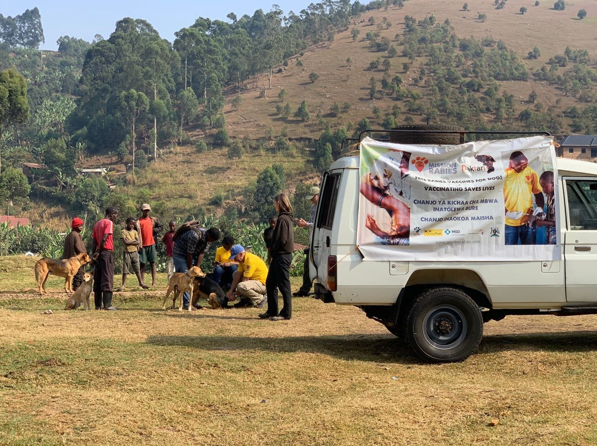 Stopping rabies at the source: The mass vaccination of dogs in rabies affected areas