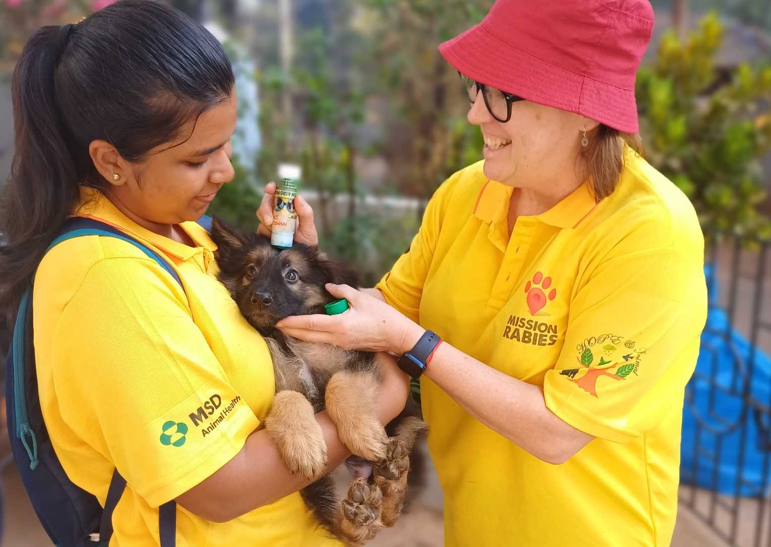 Project area Goa: making strides in rabies control in India 