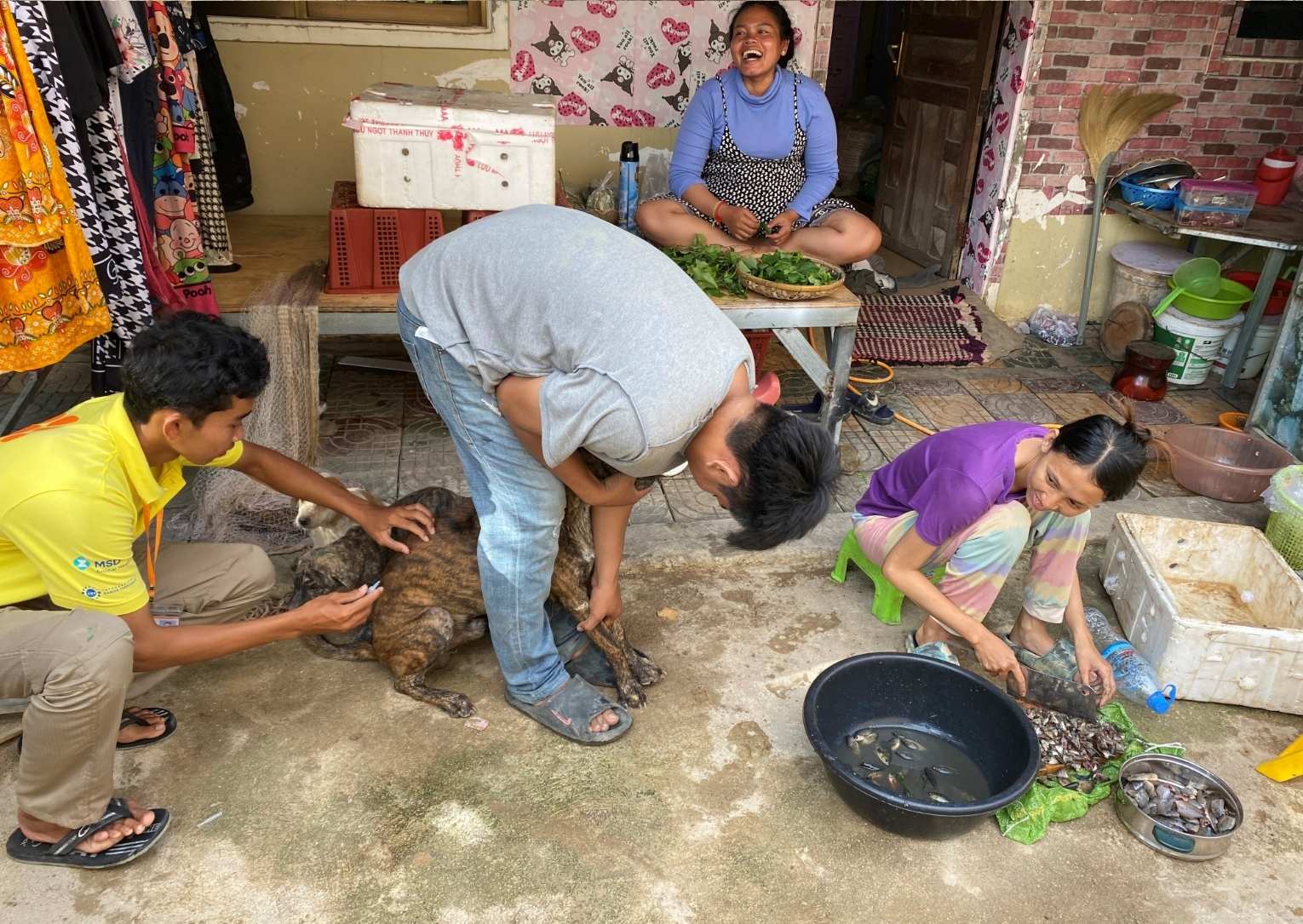 Protecting paws and people: Vet volunteer Andrea helps to combat rabies in Cambodia