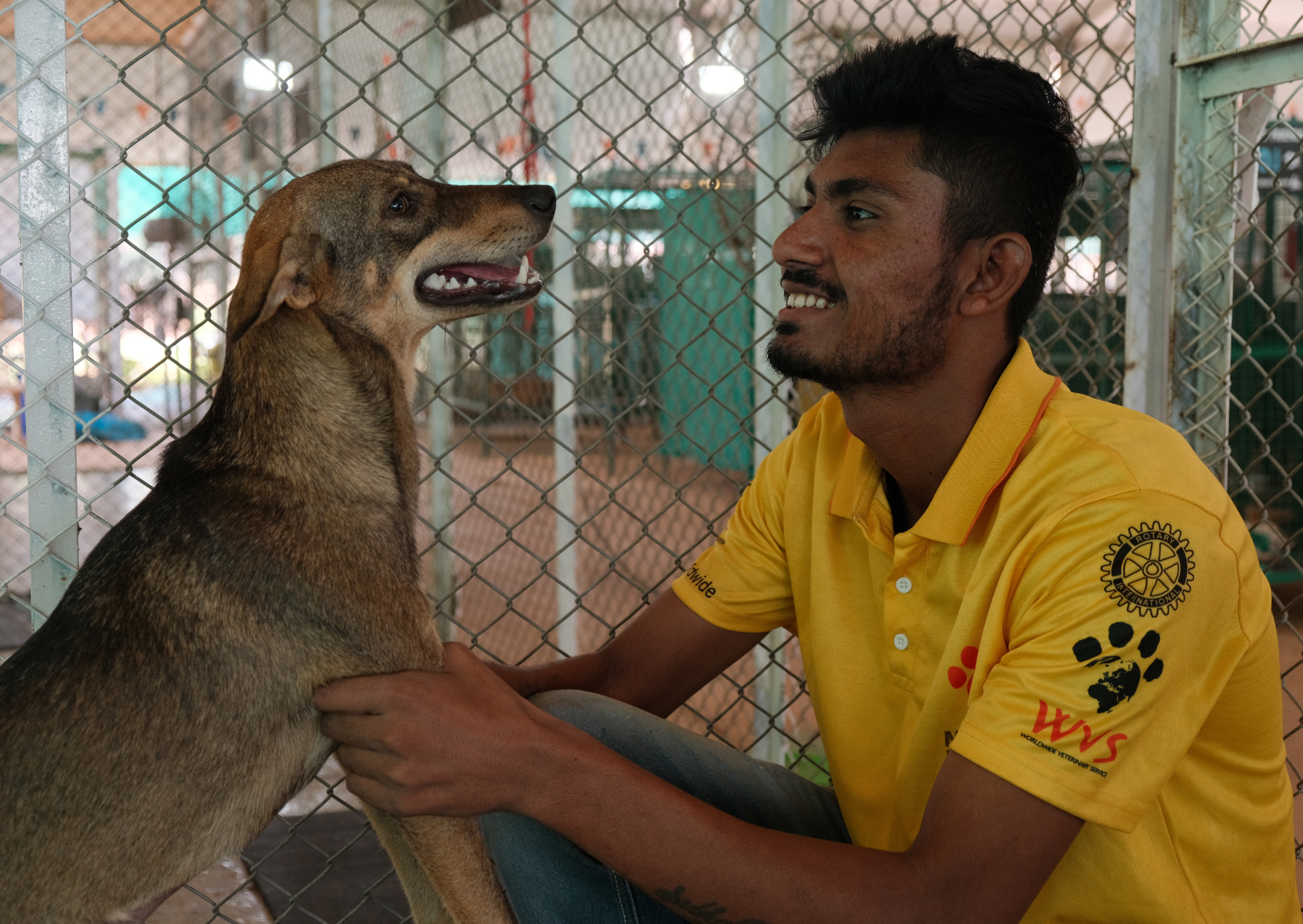 The All-Terrain Clinic: Ending rabies through mass vaccination and sterilisation