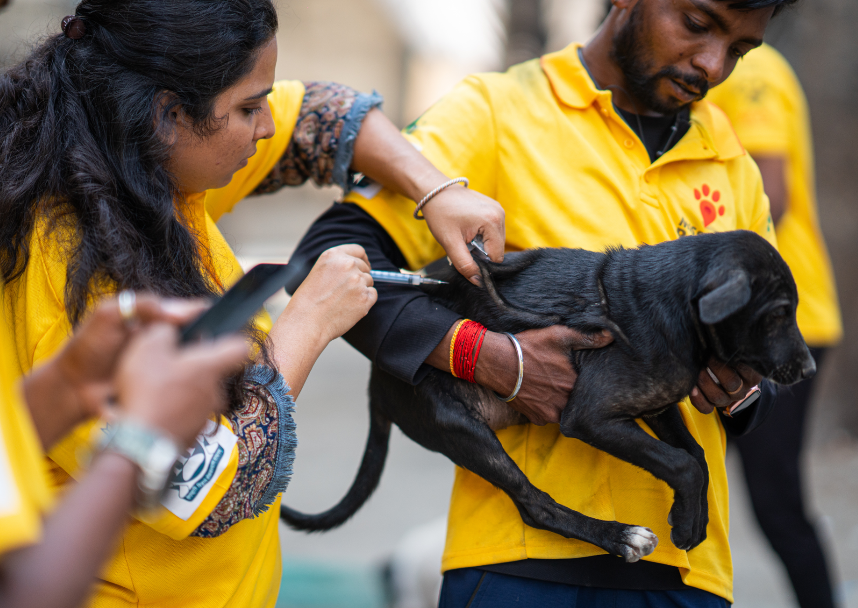 World Neglected Tropical Disease Day: Giving hope to communities living with rabies