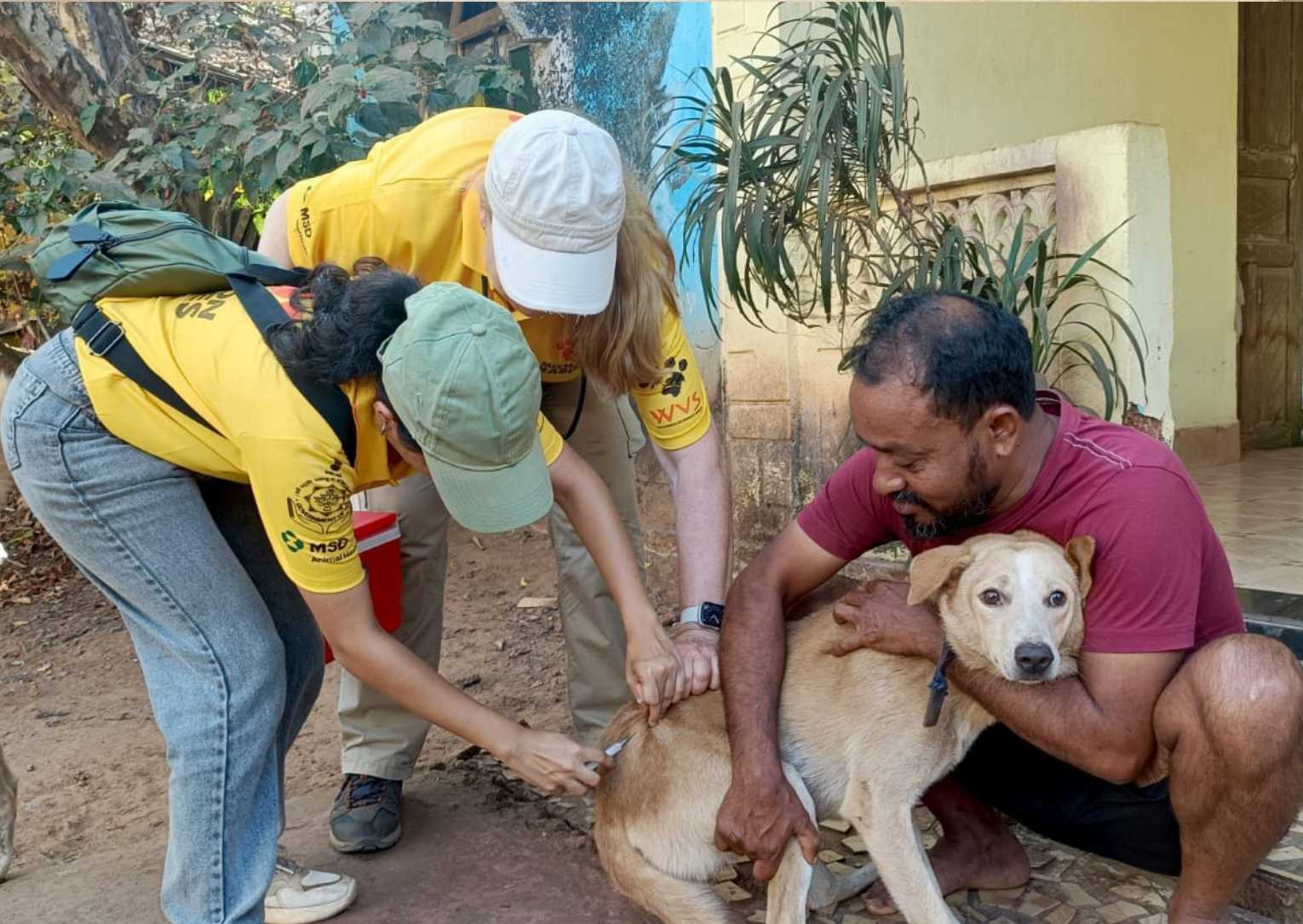 Project area Goa: making strides in rabies control in India 