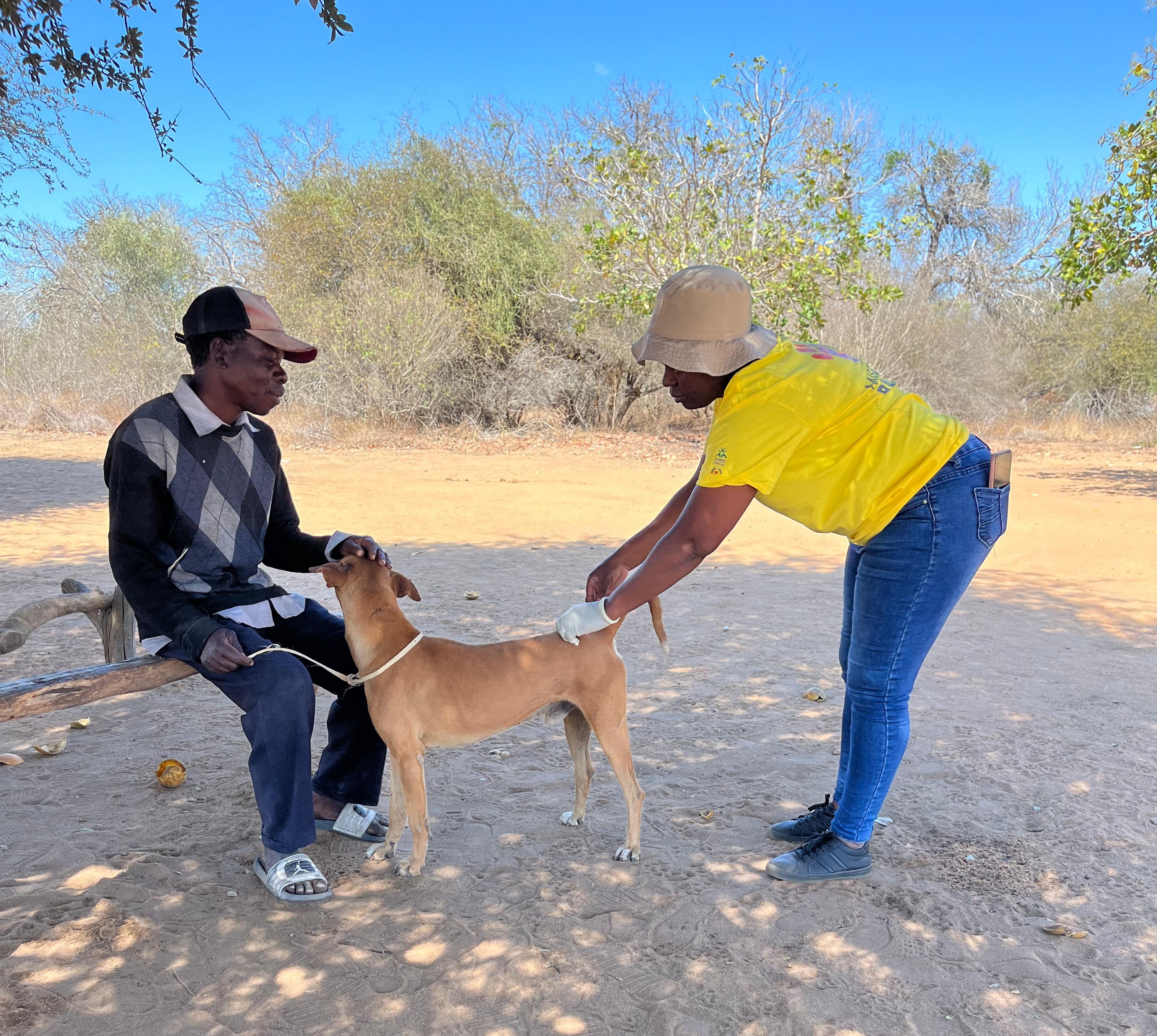 Fighting Rabies News // Mission Rabies