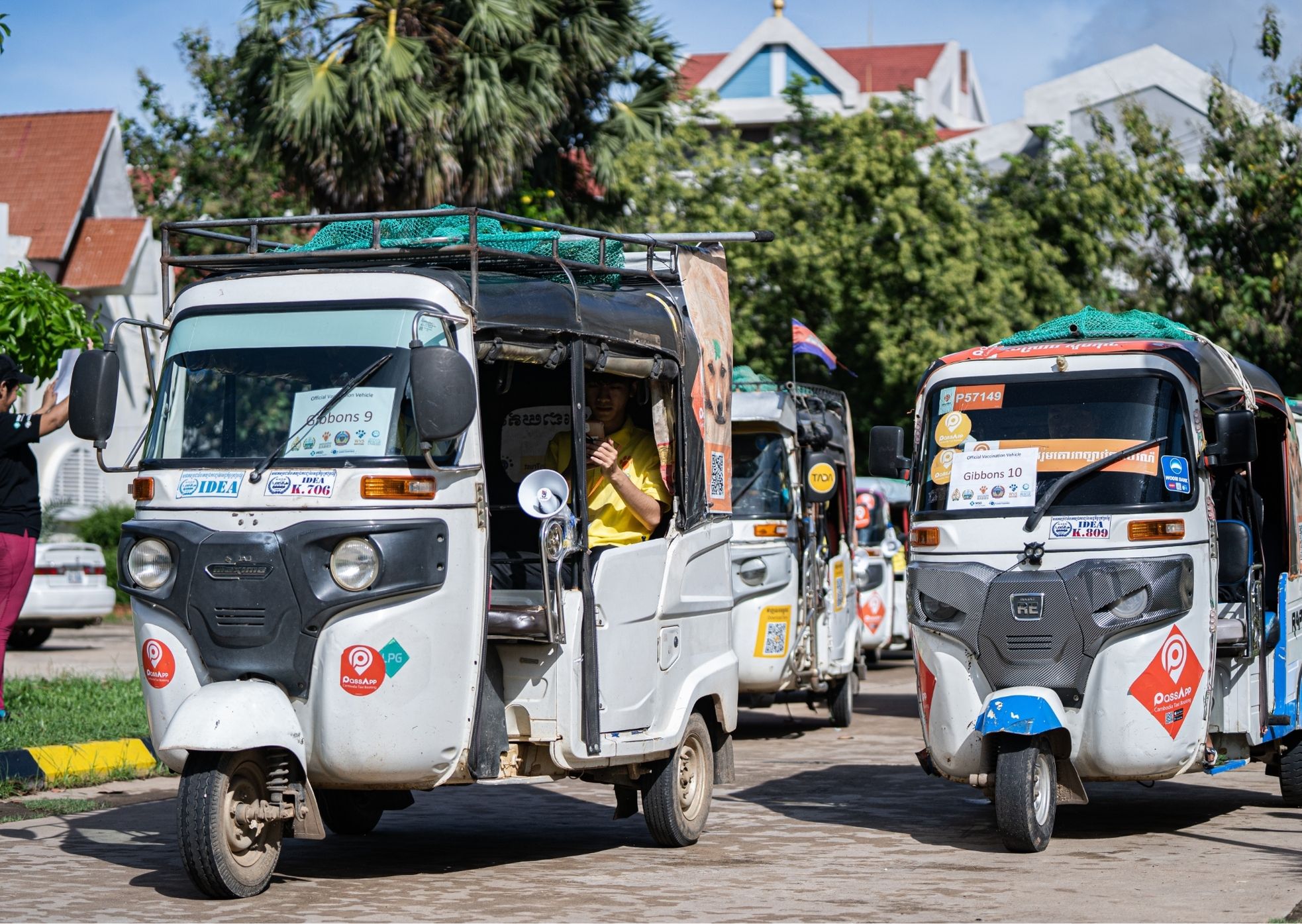 Delivering Asia’s largest rabies drive: 229,488 dogs vaccinated in Cambodia