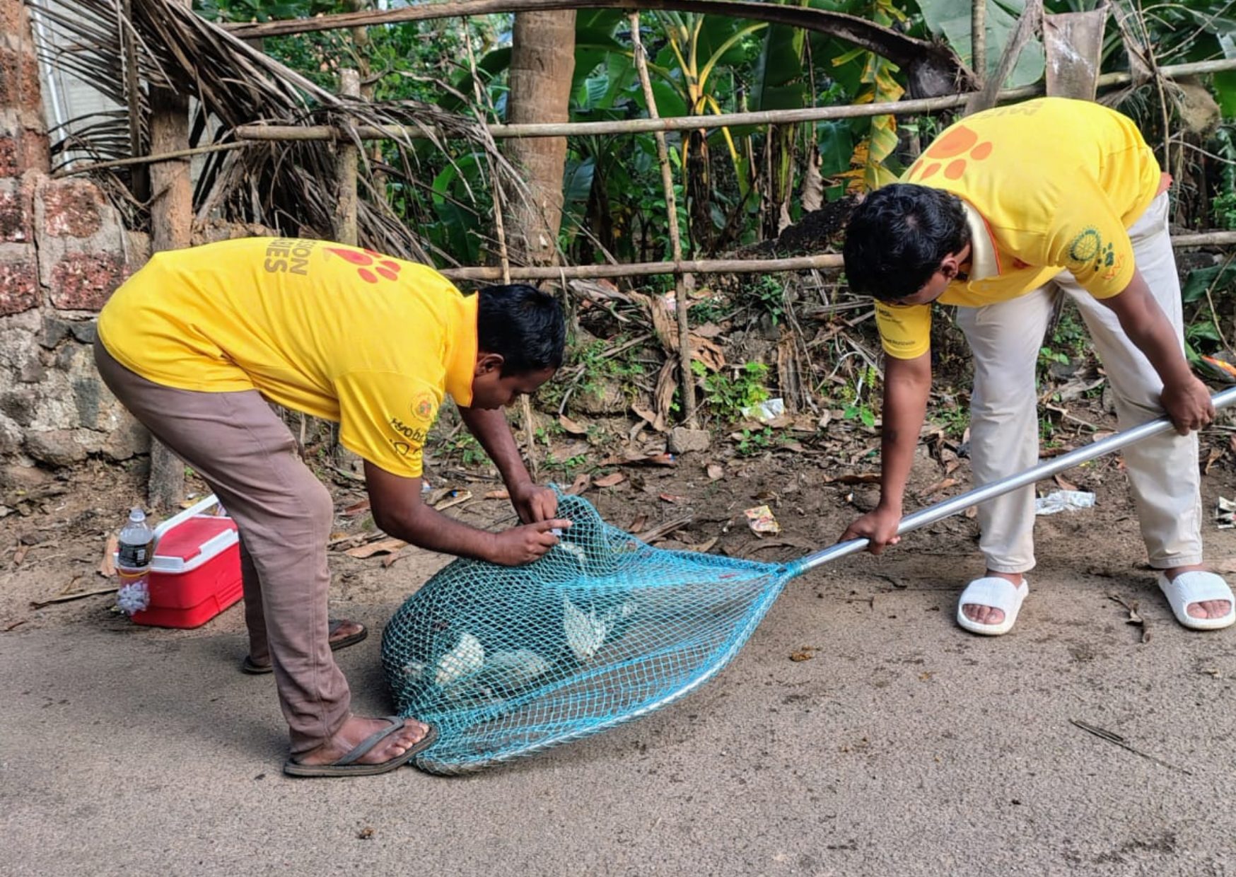 World Neglected Tropical Disease Day: Giving hope to communities living with rabies