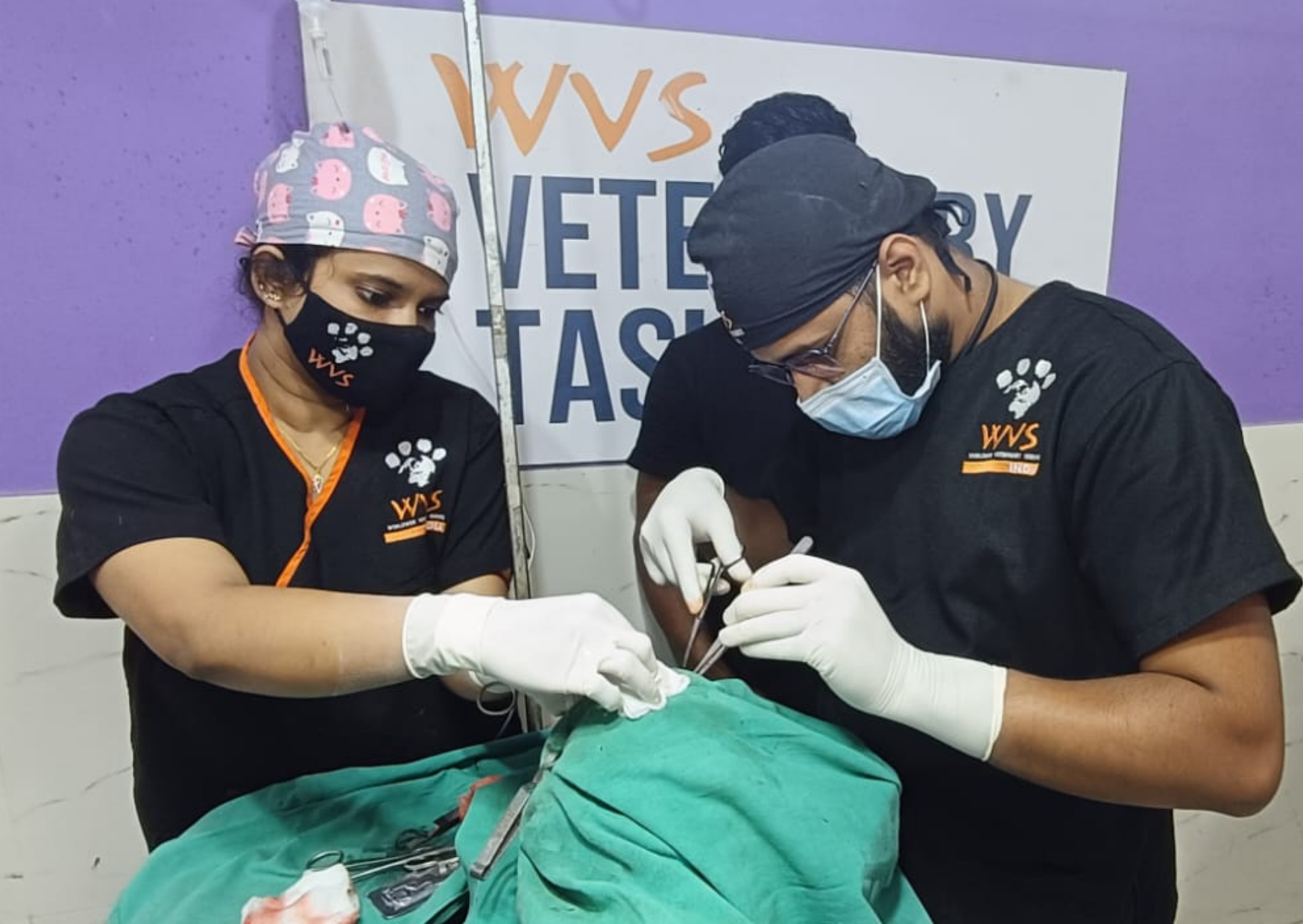 The All-Terrain Clinic: Ending rabies through mass vaccination and sterilisation