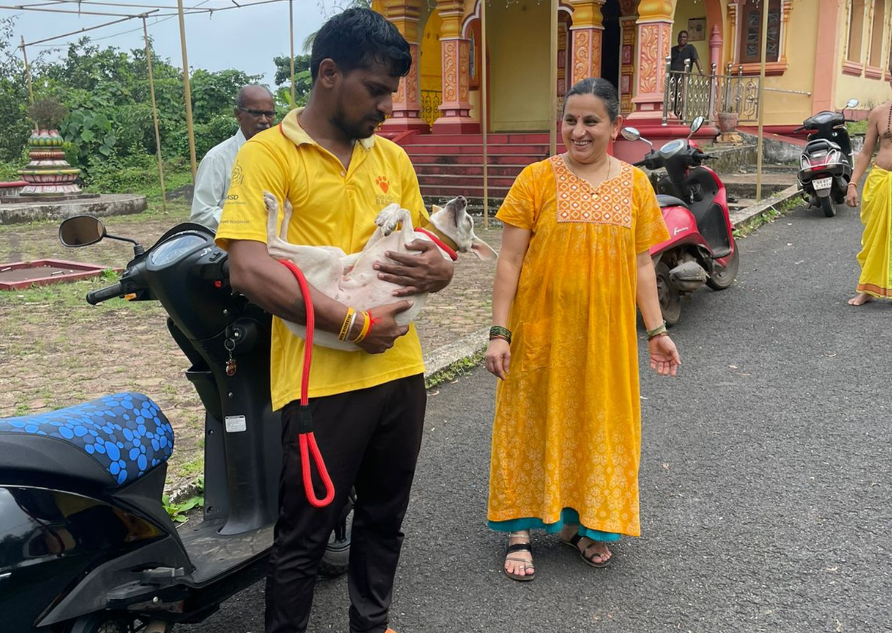 Spay and Neuter Awareness Month: Divar Island Sterilisation Camp