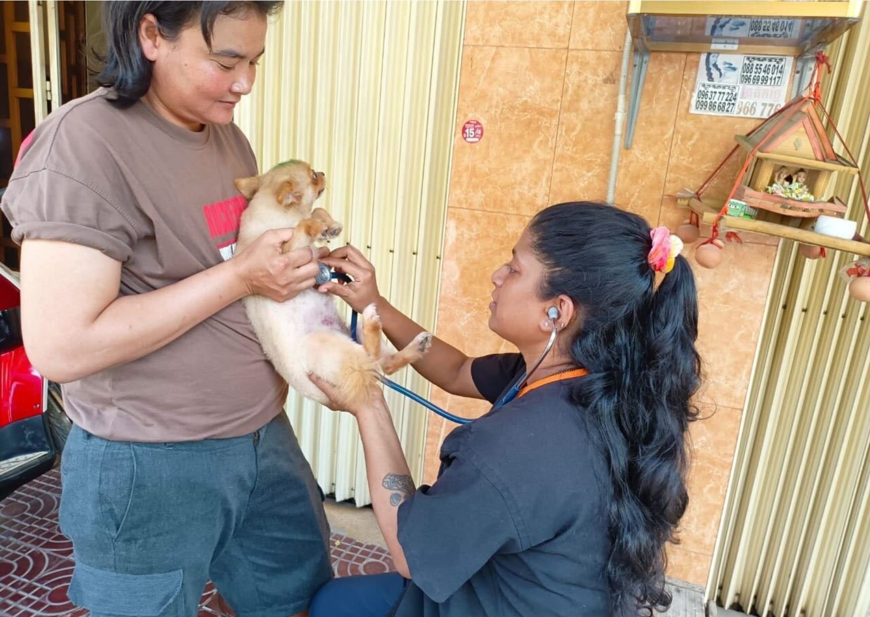 Delivering Asia’s largest rabies drive: 229,488 dogs vaccinated in Cambodia