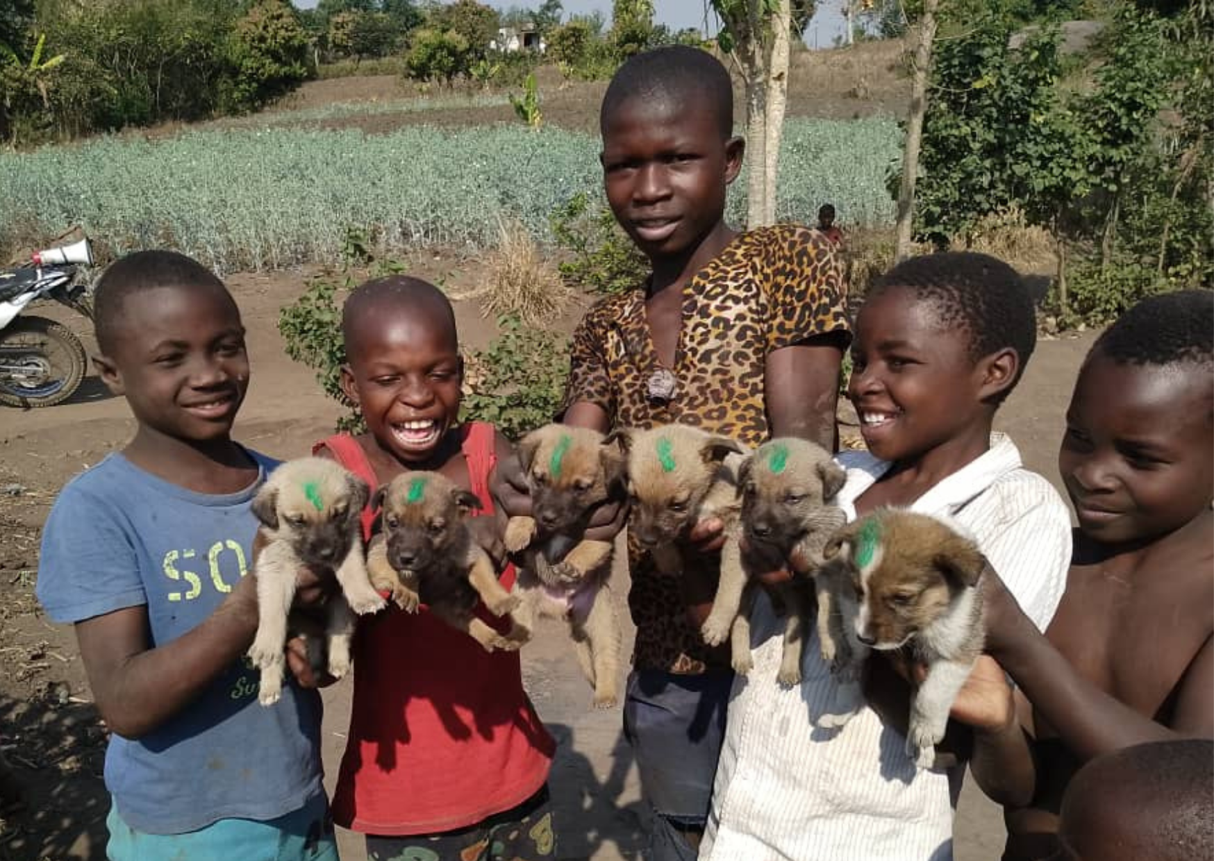 World Neglected Tropical Disease Day: Giving hope to communities living with rabies