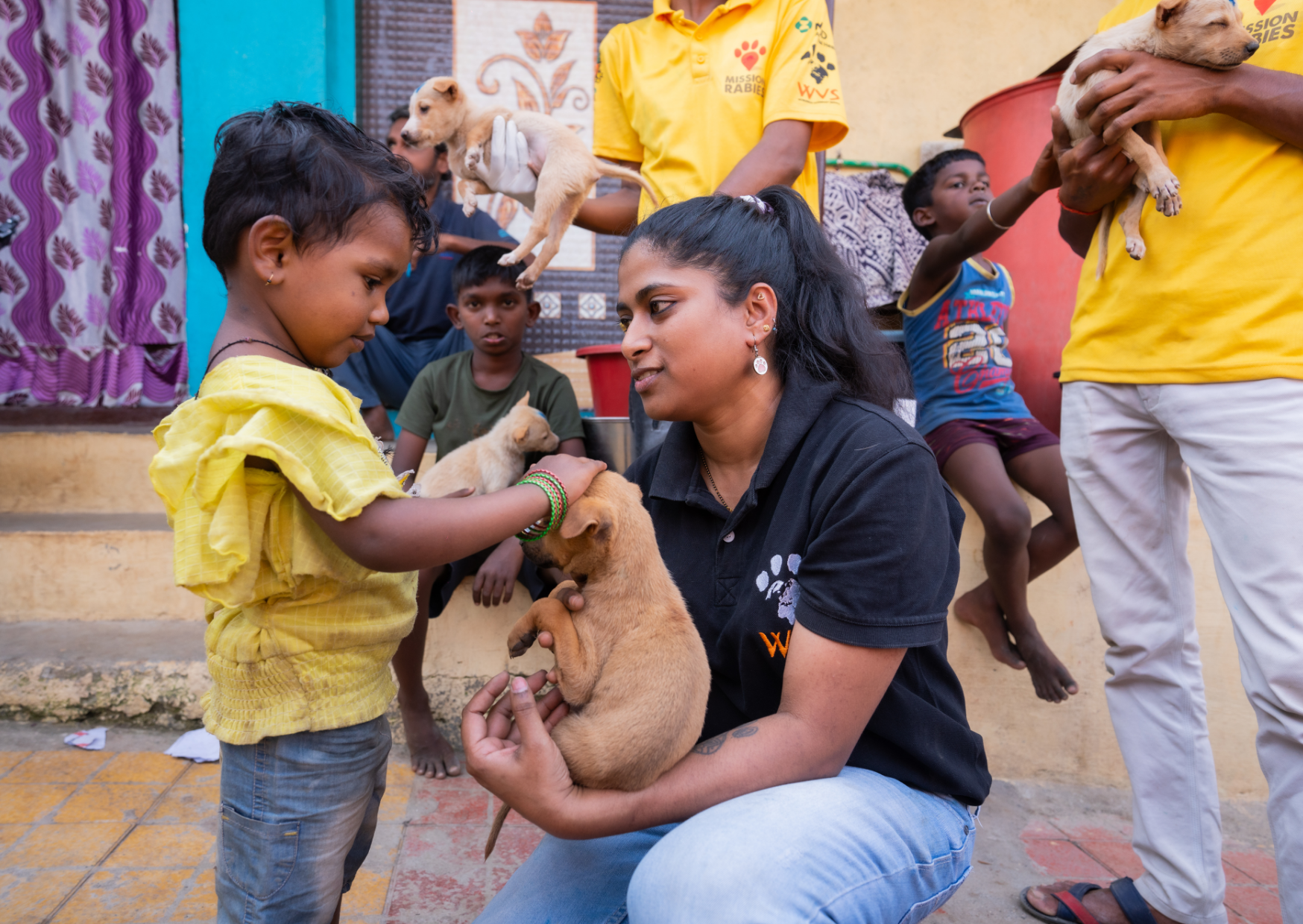 The Rabies Rally: Drive the change 