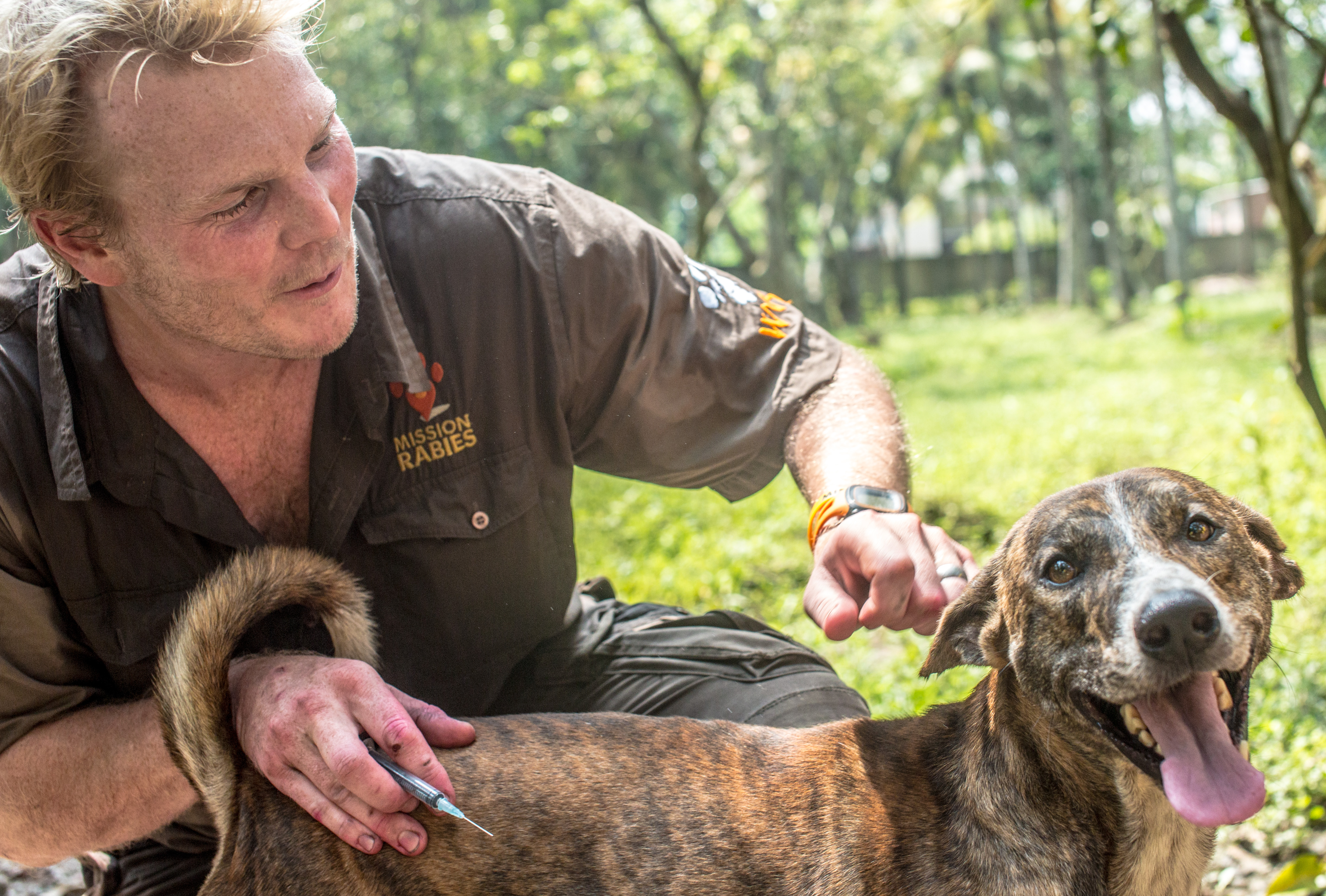 Mission Rabies to commence largest ever canine rabies vaccination drive in Cambodia