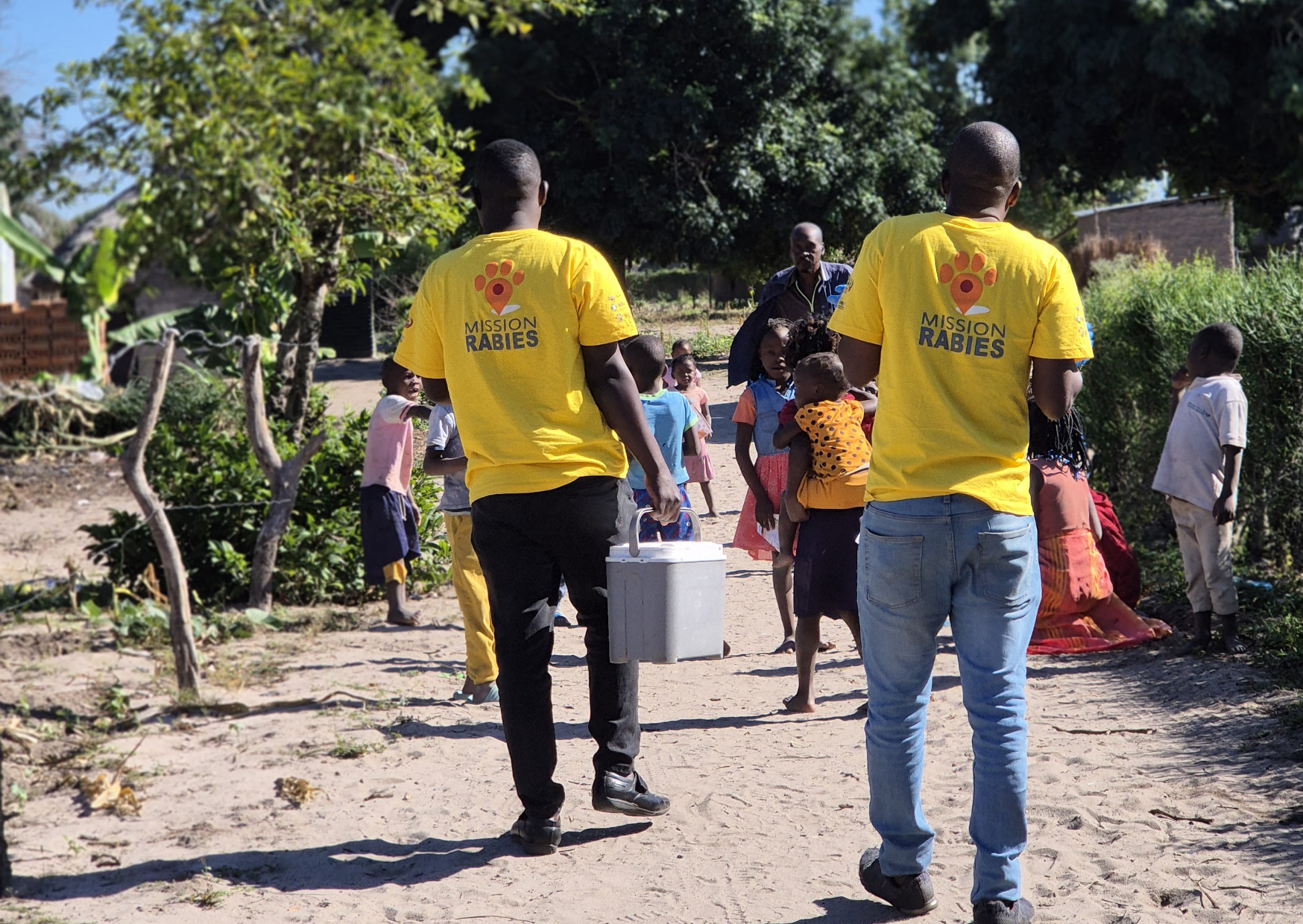 Project Spotlight: life-saving mission in Mozambique 
