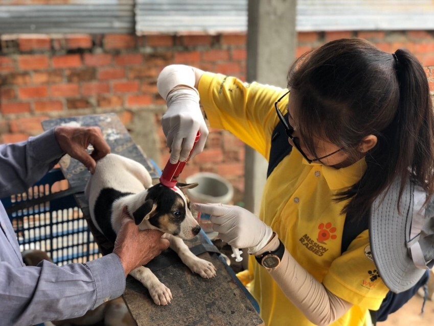 Mission Rabies to commence largest ever canine rabies vaccination drive in Cambodia