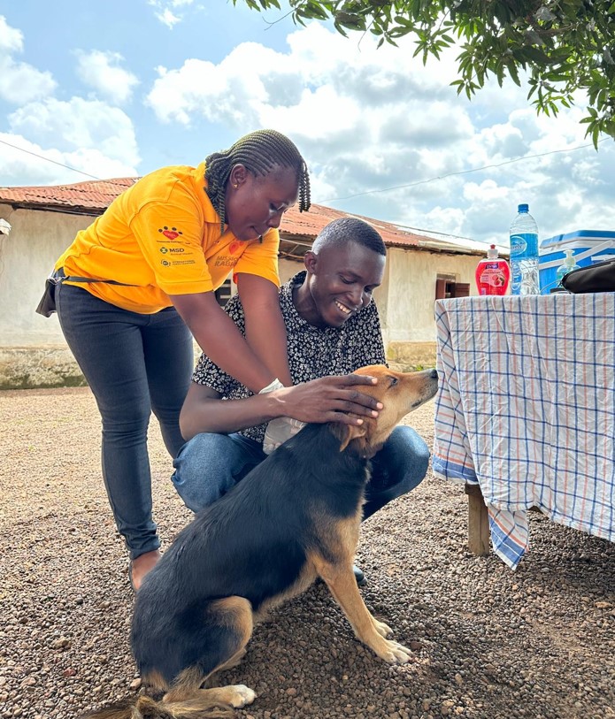 Stopping rabies at the source: The mass vaccination of dogs in rabies affected areas