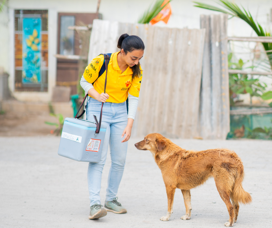 Creating a Rabies Free World: Mumbai Vaccination Drive 2024