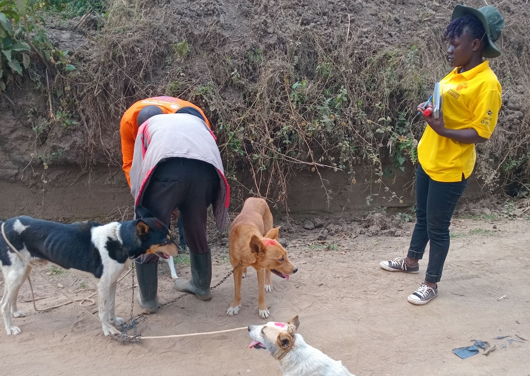 Fighting rabies in Uganda: Hear from volunteer vet Namata Alice