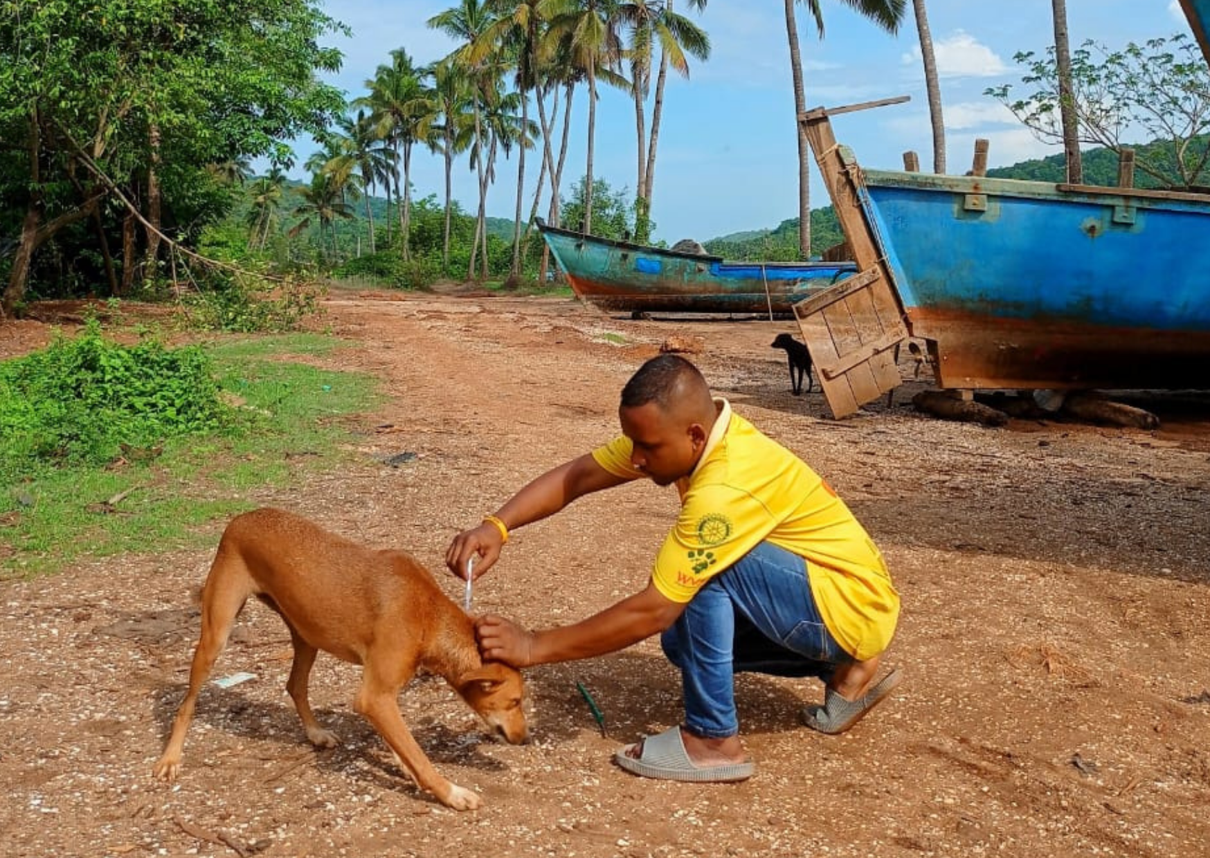 Landmark achievement in India: Goa declared a 'Rabies Controlled Area'