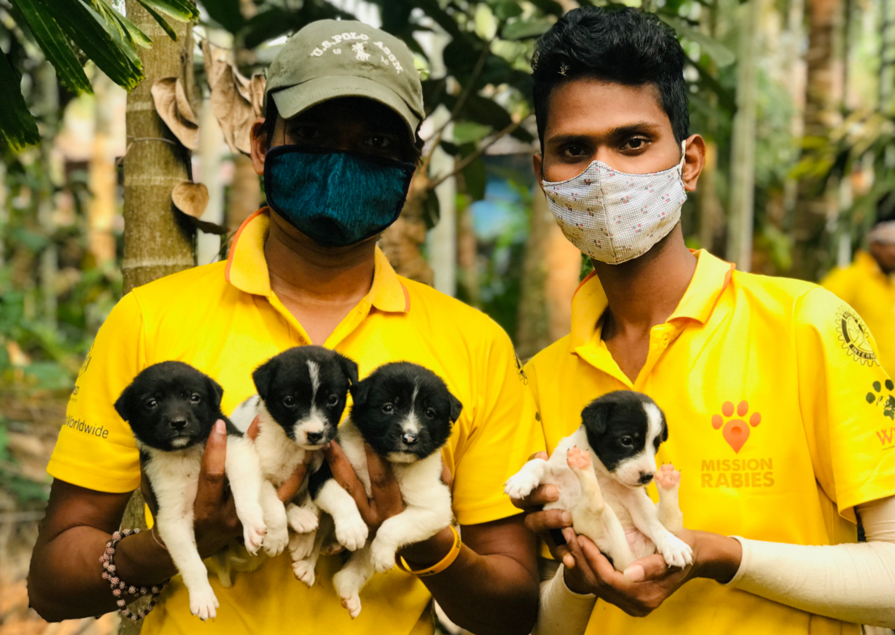 Landmark achievement in India: Goa declared a 'Rabies Controlled Area'