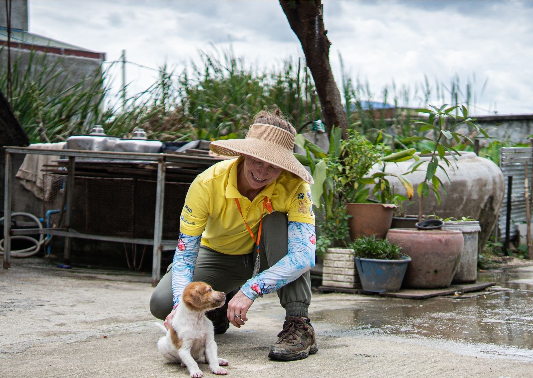 Delivering Asia’s largest rabies drive: 229,488 dogs vaccinated in Cambodia