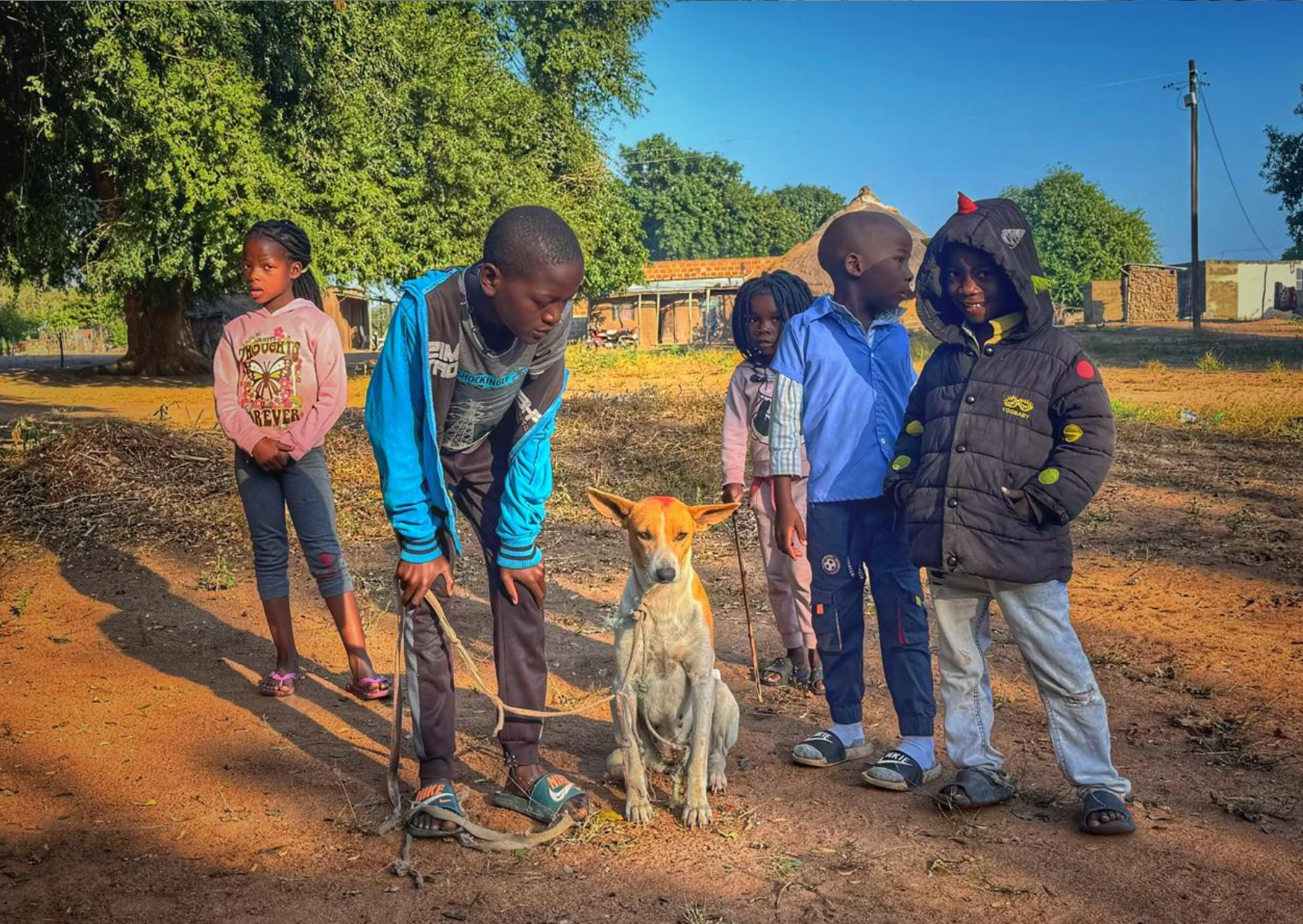 Project Spotlight: life-saving mission in Mozambique 