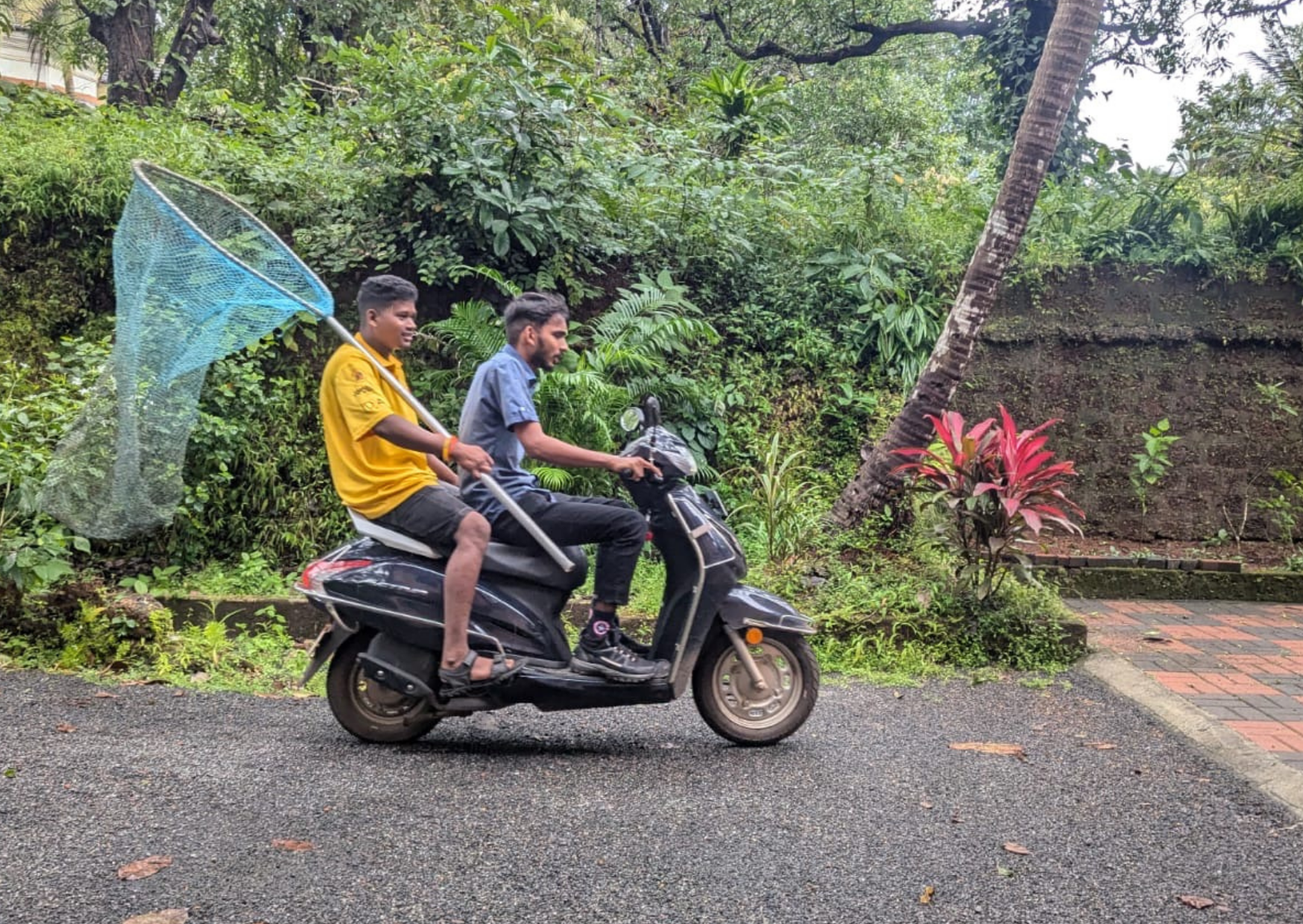 Spay and Neuter Awareness Month: Divar Island Sterilisation Camp