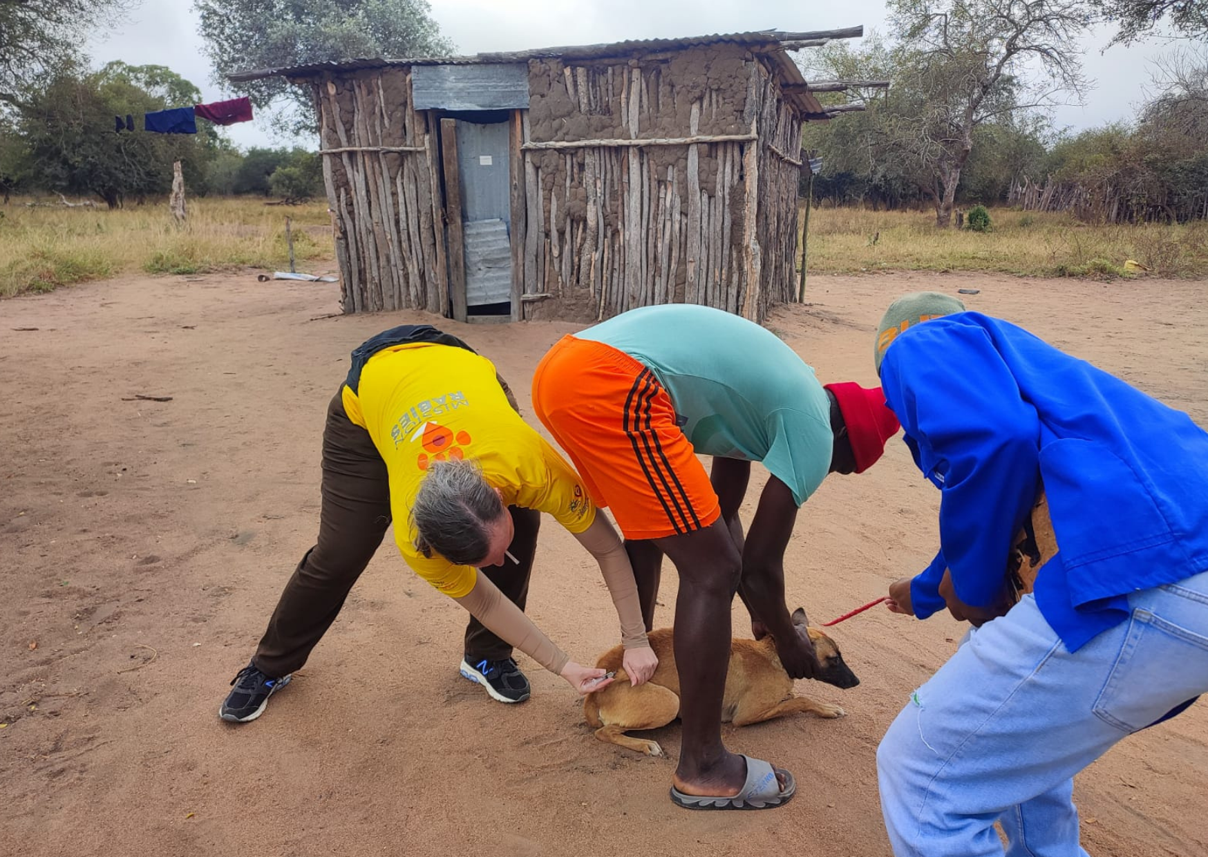 Project Spotlight: life-saving mission in Mozambique 