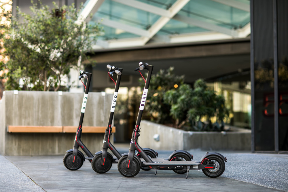 All The Questions You Wanted Answered about Bird Scooters and Their