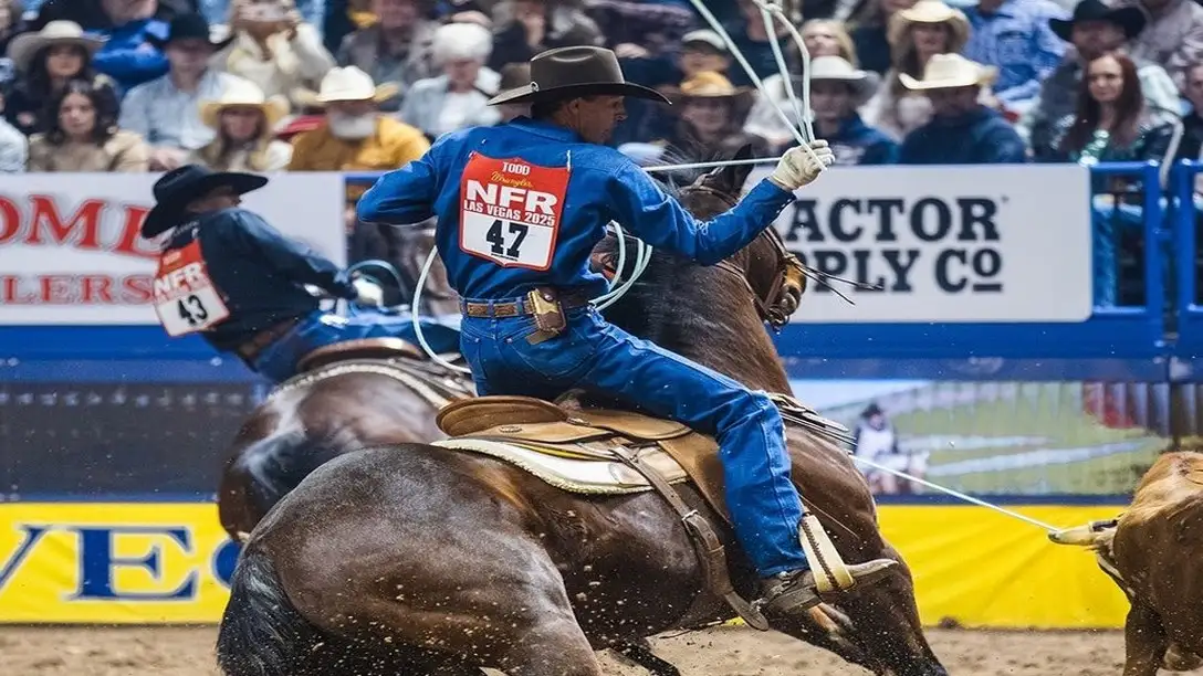 thumbnail of NFR Tickets 2026: Prices, Schedule, Seating & How to Buy