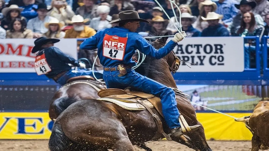thumbnail of NFR Tickets 2026: Prices, Schedule, Seating & How to Buy