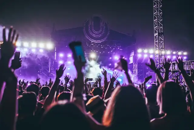 group of people raising there hands in concert
Photo by Hanny Naibaho on Unsplash
