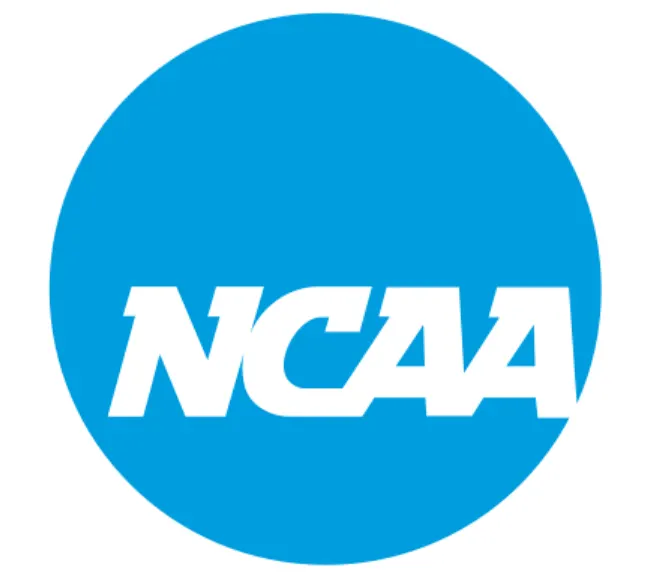 thumbnail of 2024 NCAA Division I Softball Tournament Review