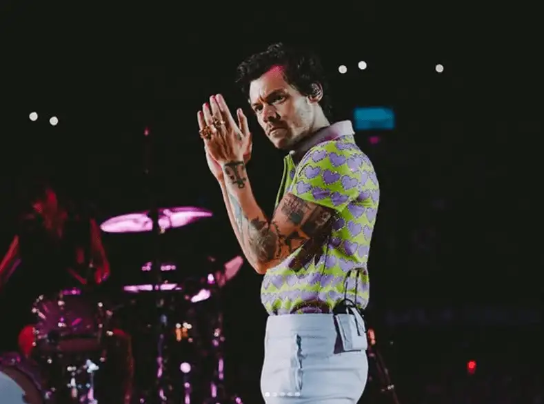 thumbnail of Harry Styles Tour 2026: Why Together, Together is More Than a World Tour