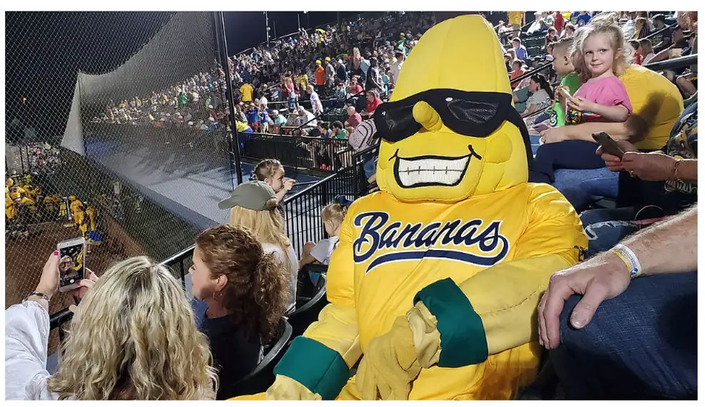  Thumbnail: Savannah_Bananas_mascot by baseballmapper (CC BY-SA 1.0)