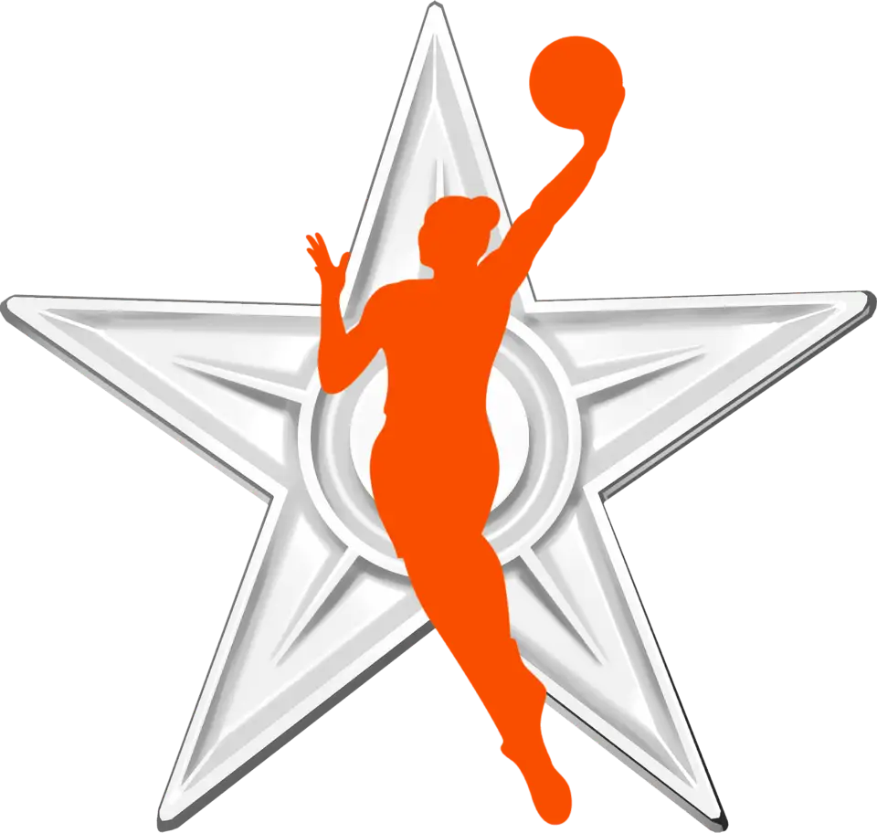 thumbnail of What Do WNBA Tickets Cost? Quick Price Overview for 2026