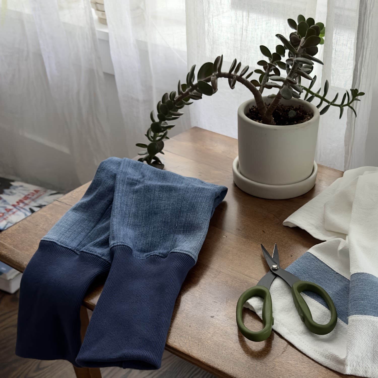 Impact Innovator: Park + Coop | Wolf & Badger
