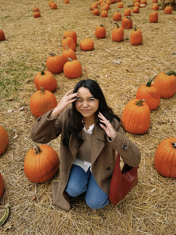 Fall Must Haves for a Clean Aesthetic