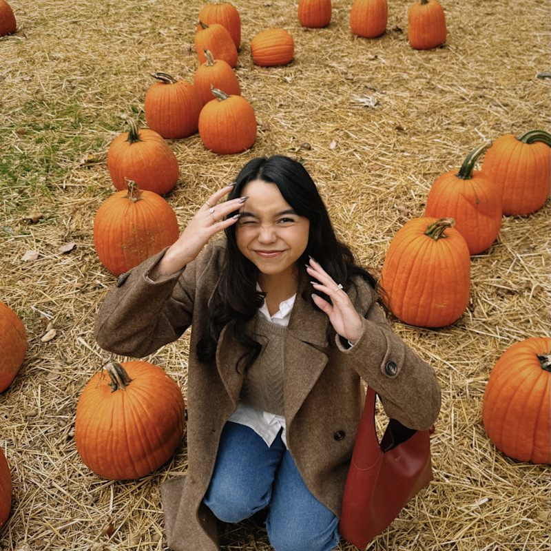 Fall Must Haves for a Clean Aesthetic